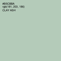 #B5CBBA - Clay Ash Color Image
